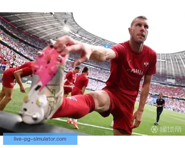 帕夫洛维奇正式加盟AC米兰开启意甲新征程