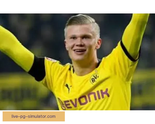 曼城官方确认哈兰德荣膺本周英超最佳球员火力全开再证射手实力